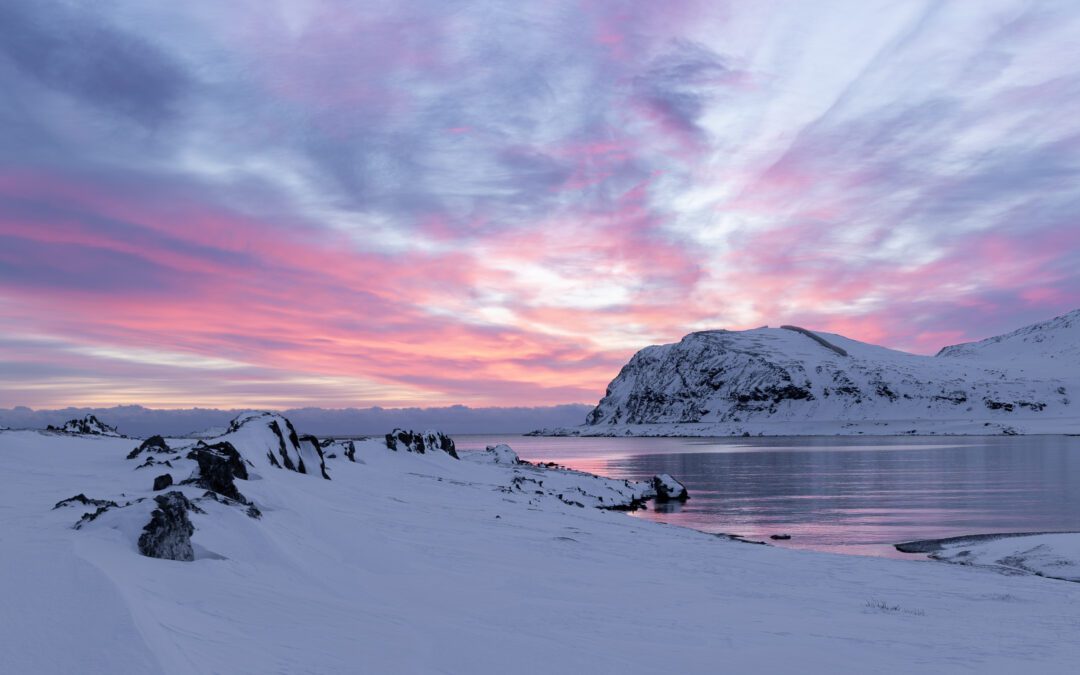 Reseberättelse del 2: Arktiska Varanger i Nordnorge dag 3 – 4