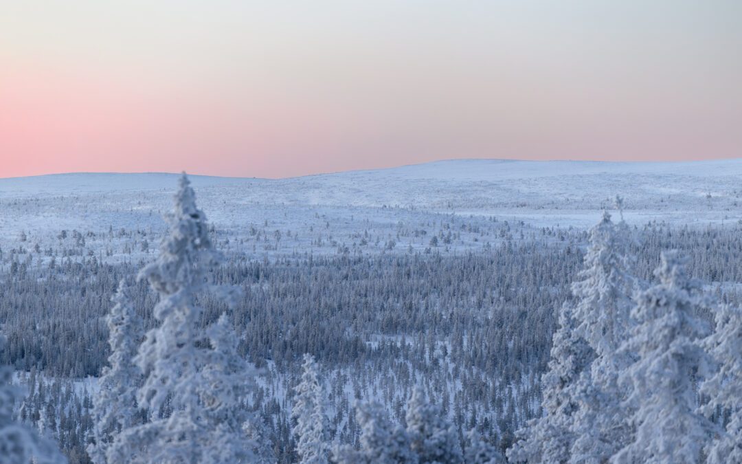 Vinter i vackra Vemdalen