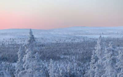 Vinter i vackra Vemdalen