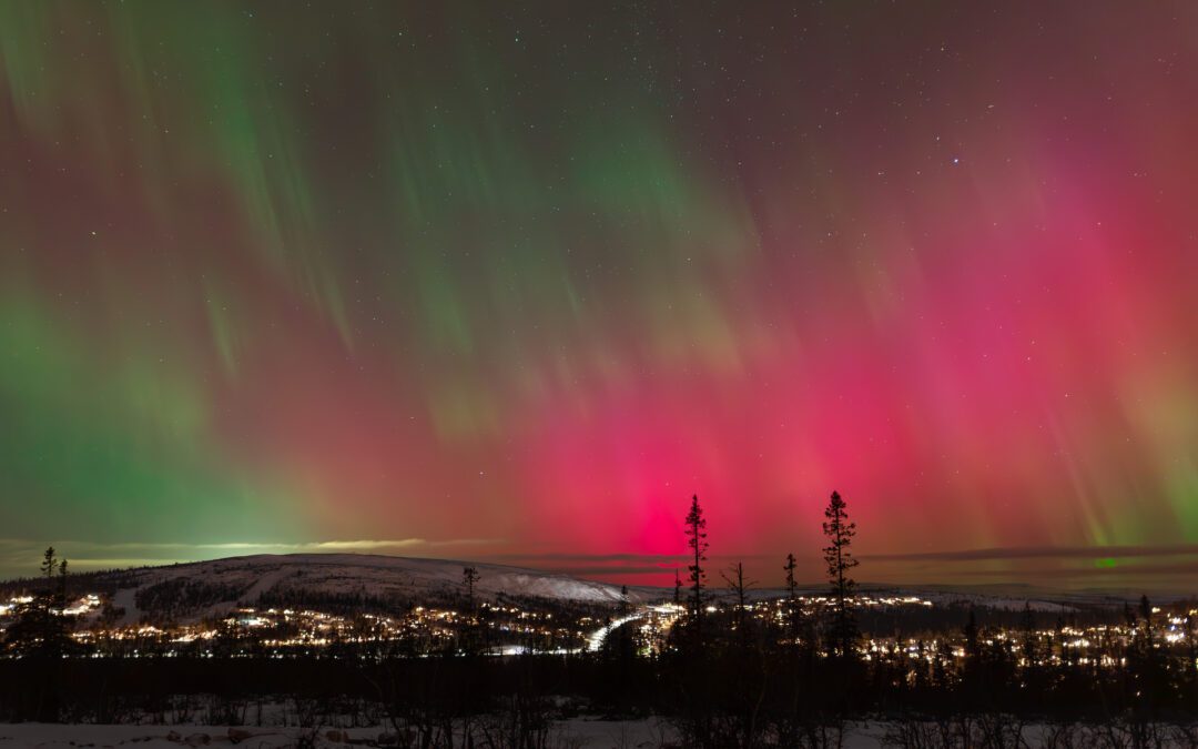 Tack år 2024 och välkommen år 2025!