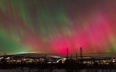 Tack år 2024 och välkommen år 2025!