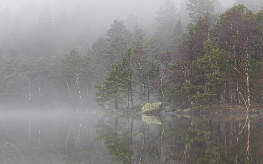 Tack januari för suddigt fotande, alla sjukdomar och för femtio nyanser av grått!