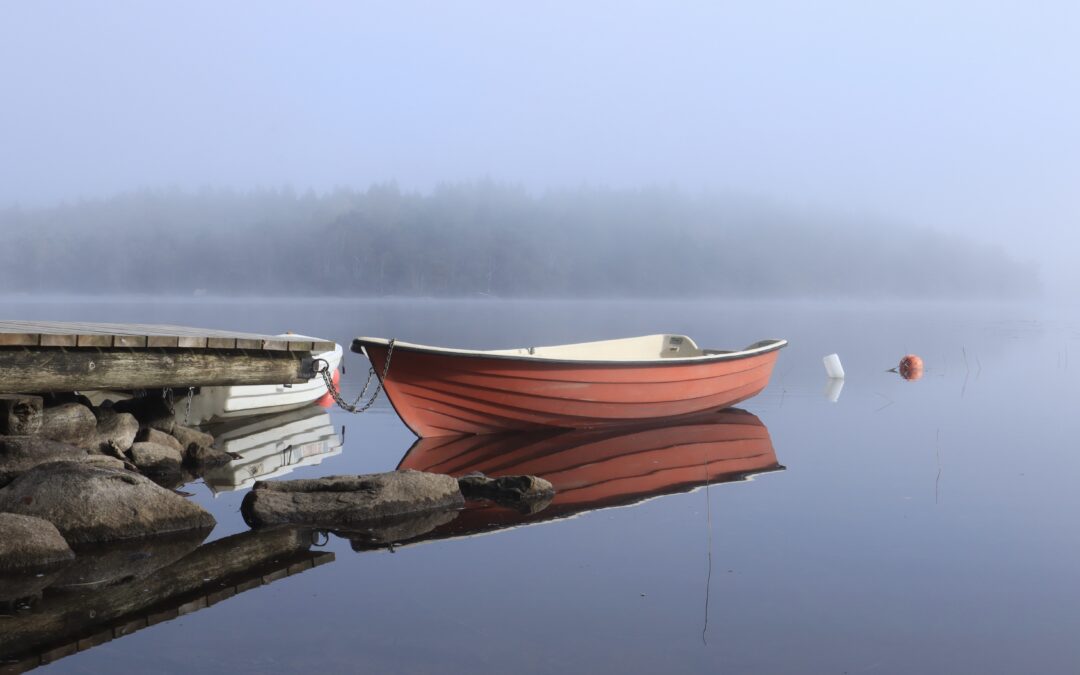 Jag firar 5 år med systemkamera